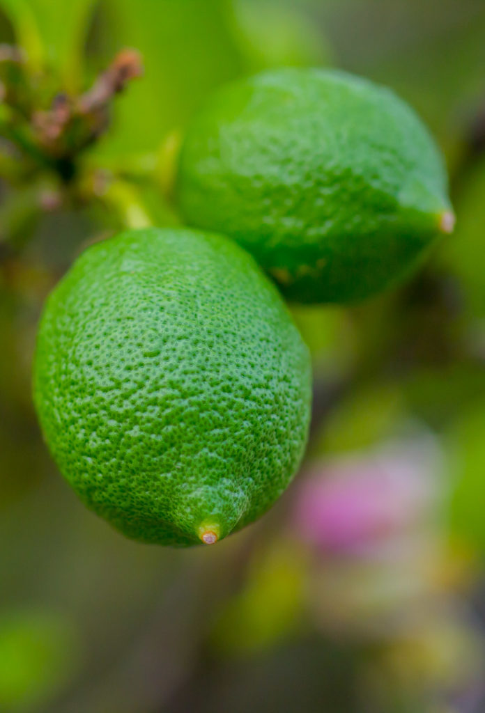 A green lemon