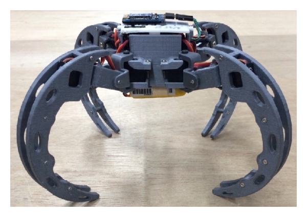 Robot spider